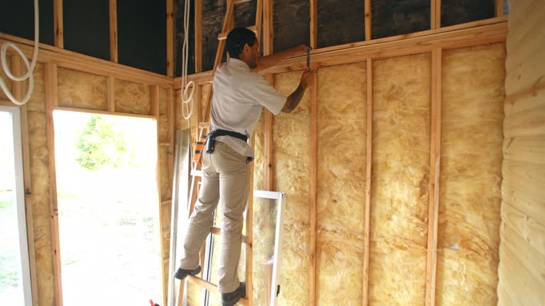 Eco-Friendly or Green Insulation Solutions in Mcdonough, GA